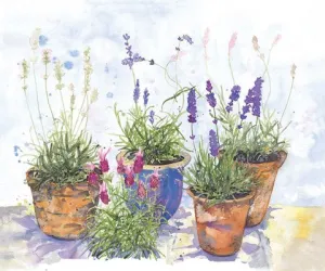 Alison Vickey artist "Lavender Garden" greetings card (Alison)