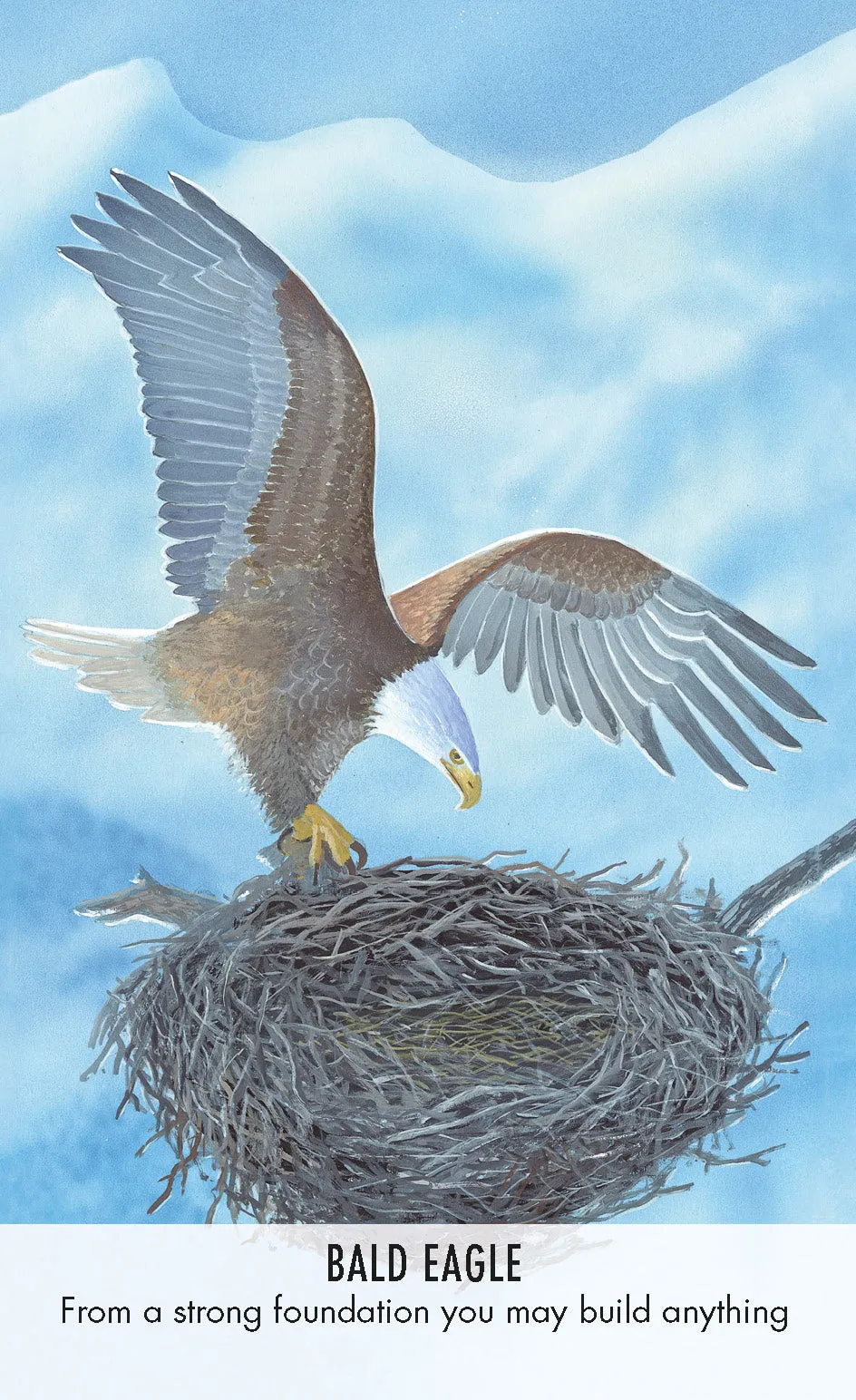 Bird Messages