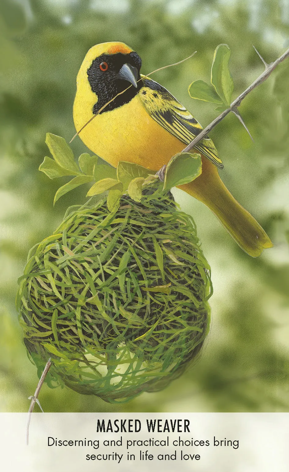 Bird Messages