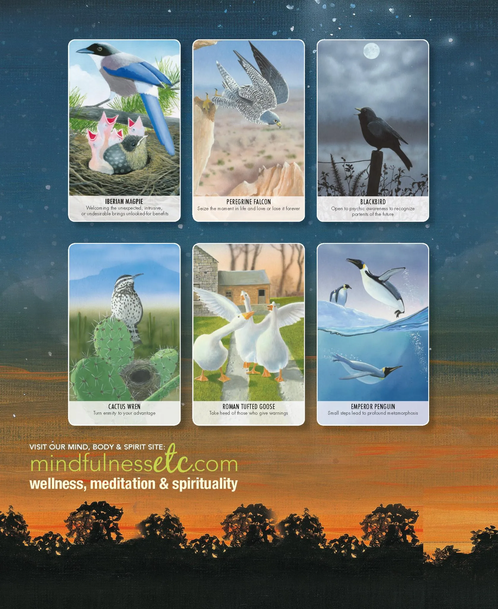 Bird Messages