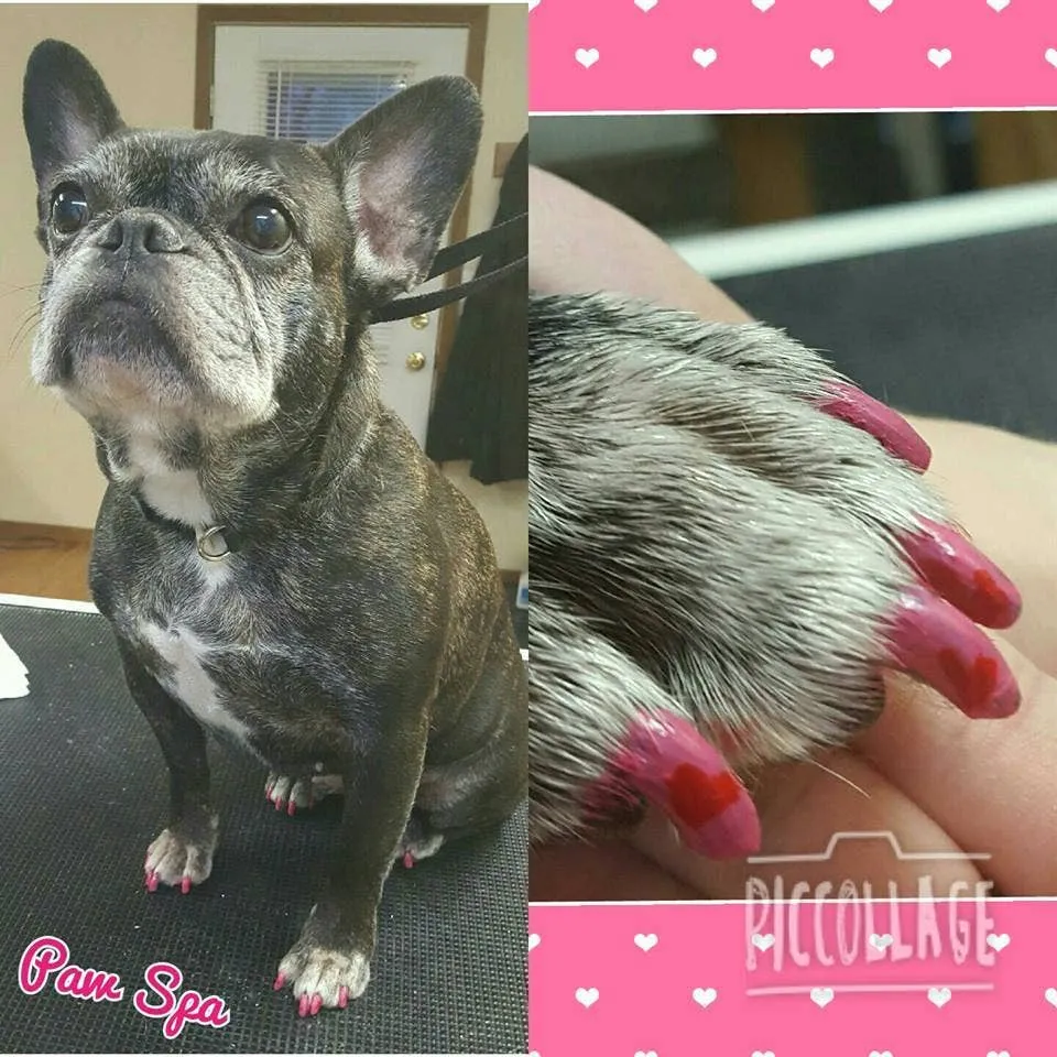 Doggy Nail Polish Pens