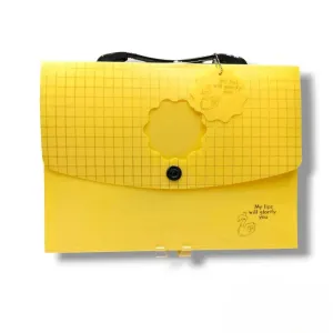 Fashionable And Portable Folders