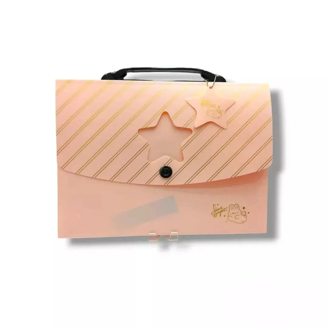 Fashionable And Portable Folders