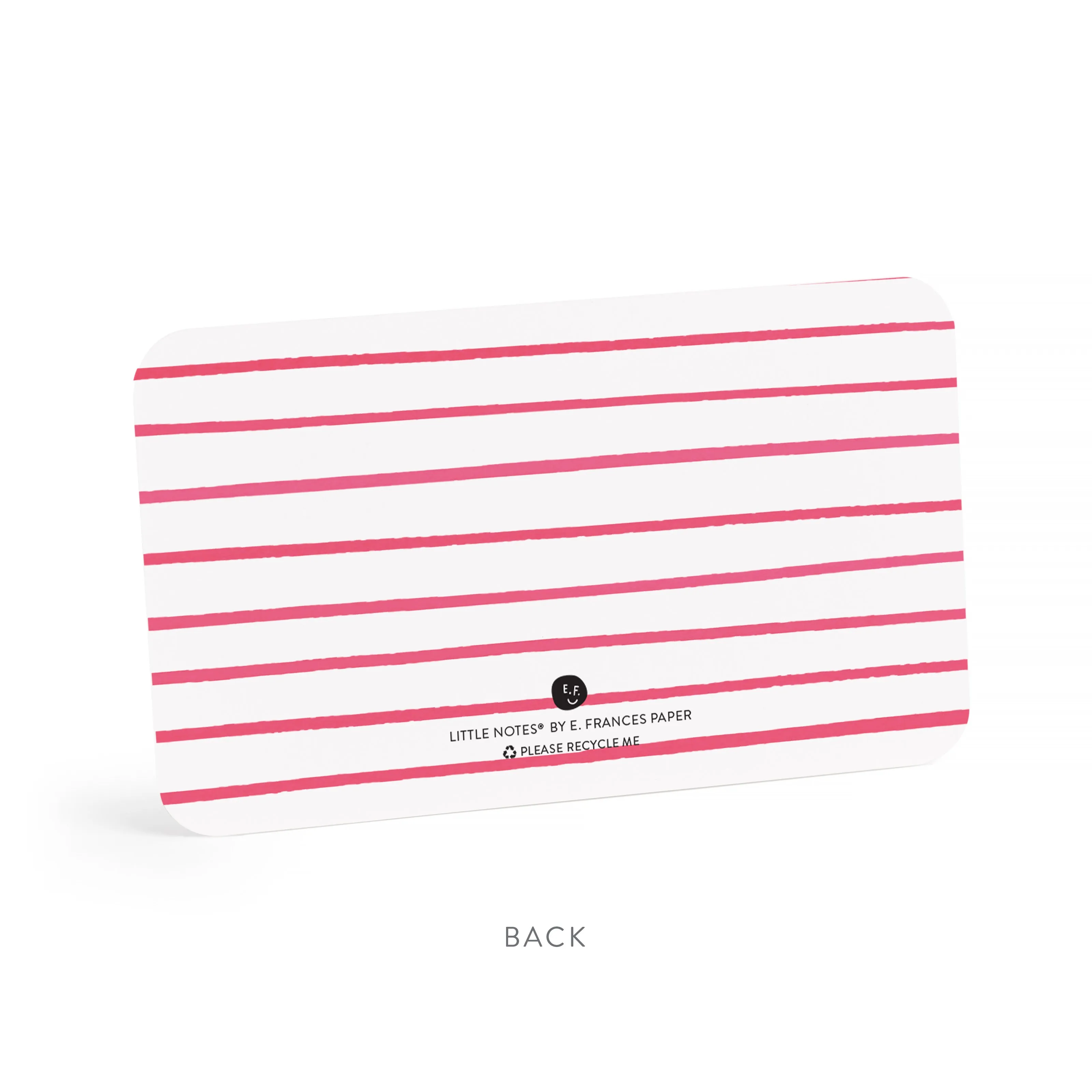 Jolly Puffins Little Notes