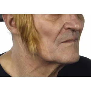 Light Brown Sideburns