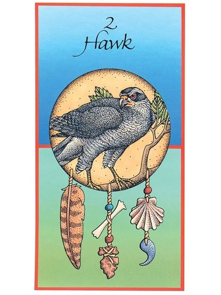 Medicine Cards: The Discovery of Power Through the Ways of Animals - Jamie Sams