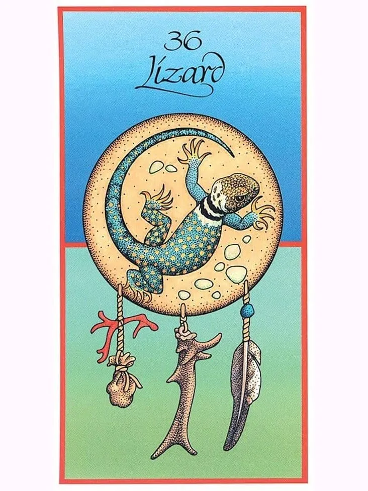 Medicine Cards: The Discovery of Power Through the Ways of Animals - Jamie Sams