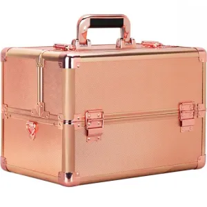 VER Beauty - Rose Gold Dot Pro Case