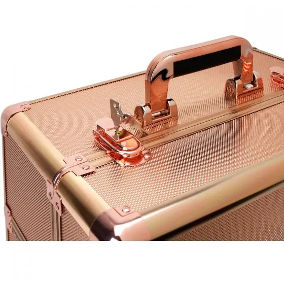 VER Beauty - Rose Gold Dot Pro Case