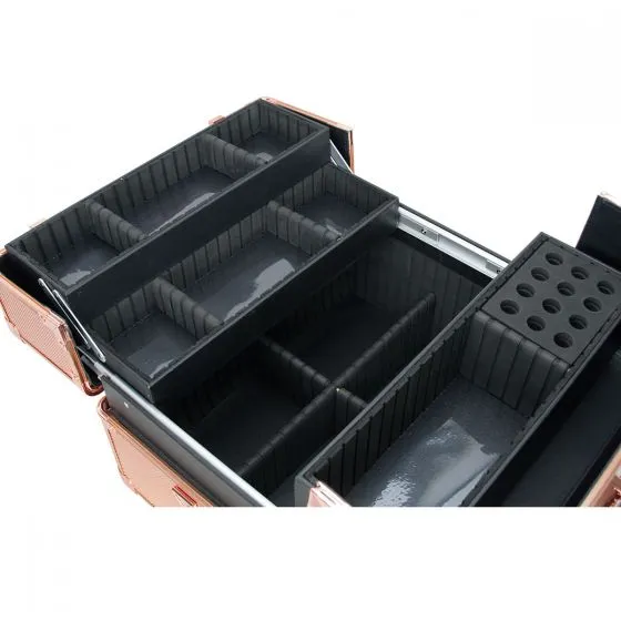 VER Beauty - Rose Gold Dot Pro Case